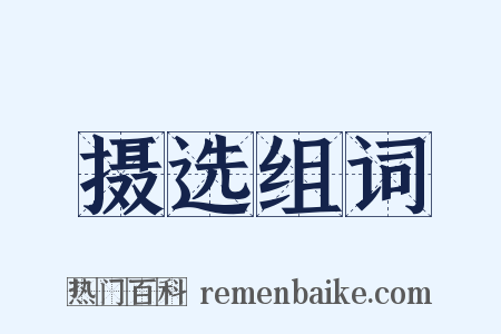 摄选组词是什么意思的图片